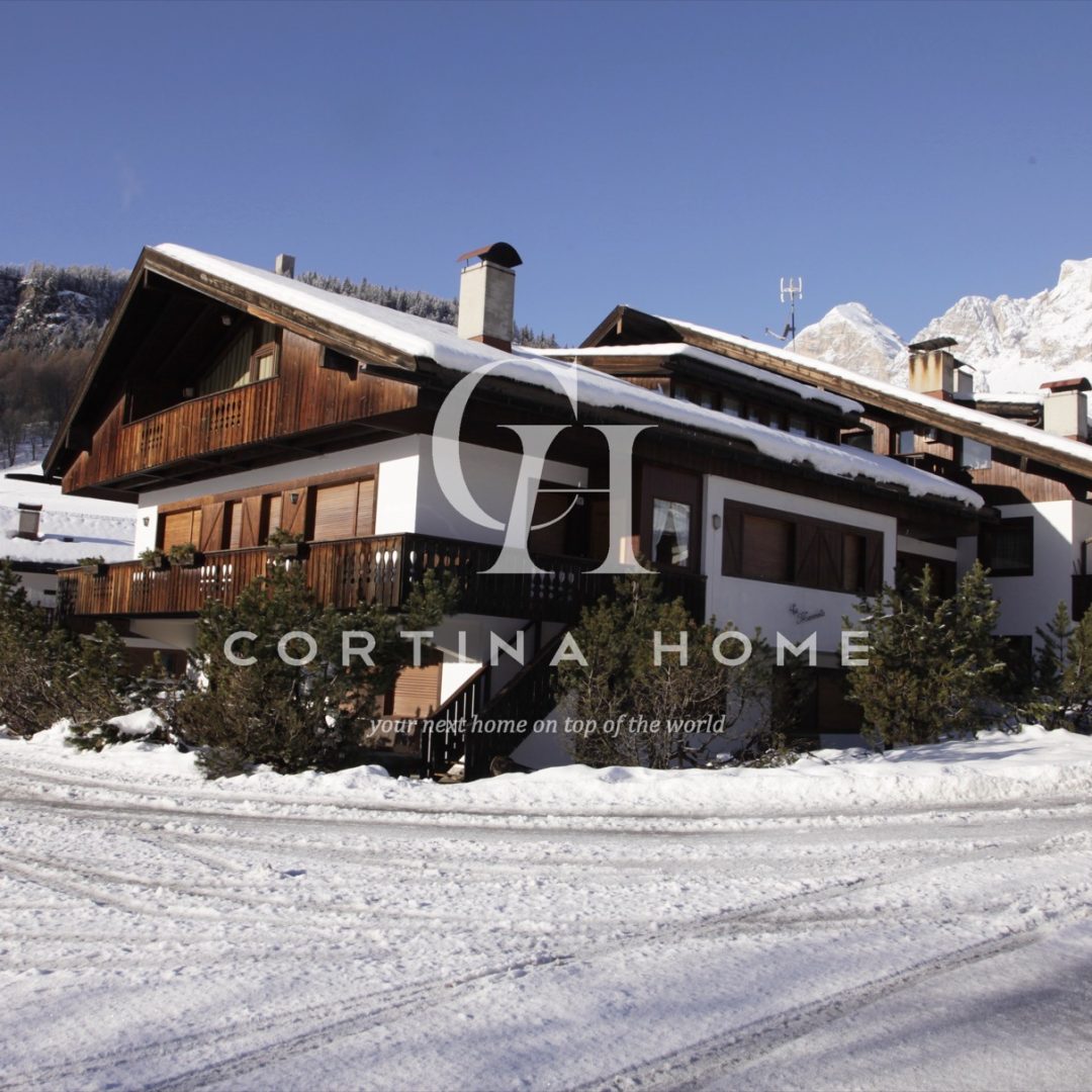 ca_marmotta_01