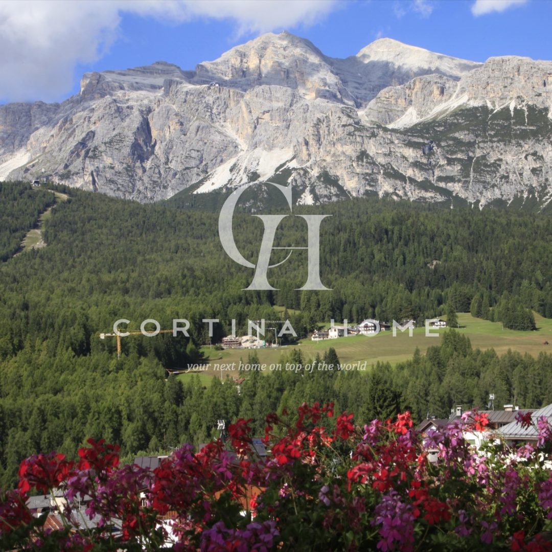 cortina_home_ca_padeon_07